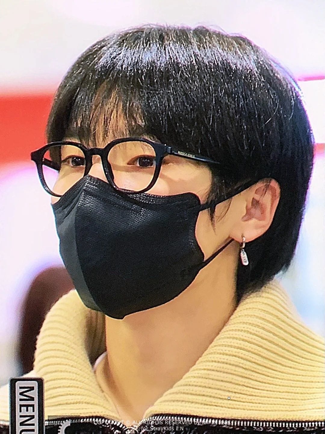 STRAY KIDS  STAY EARRING FALL IN LOVE